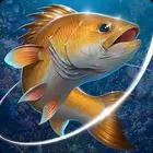 Unduh Fishing Hook Hack Mod Apk (Uang yang tidak terbatas) v2.5.6