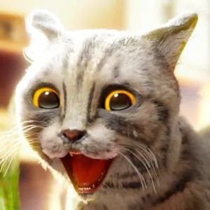 Cat Simulator 2 APK v1.1.4