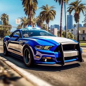 US Police Car Chase- Car Games APK v3.4