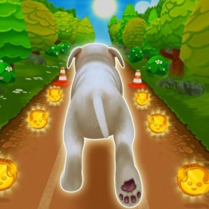 Pet Run Mod v1.25.6 (Tidak Terkunci)