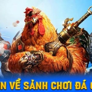 Đá Gà VIN88 – Sân Chơi Cá Cược Hấp Dẫn Dành Cho Anh Em